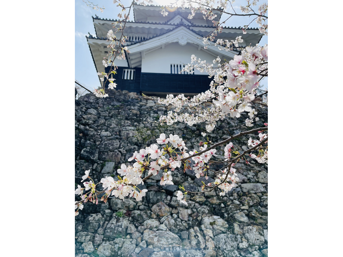 吉田城春まつり