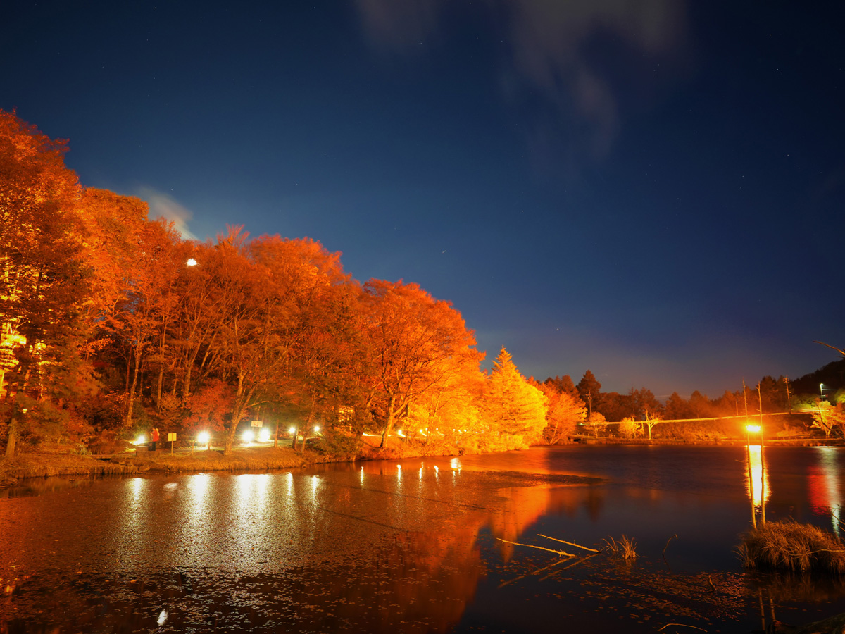 차우스야마 고원