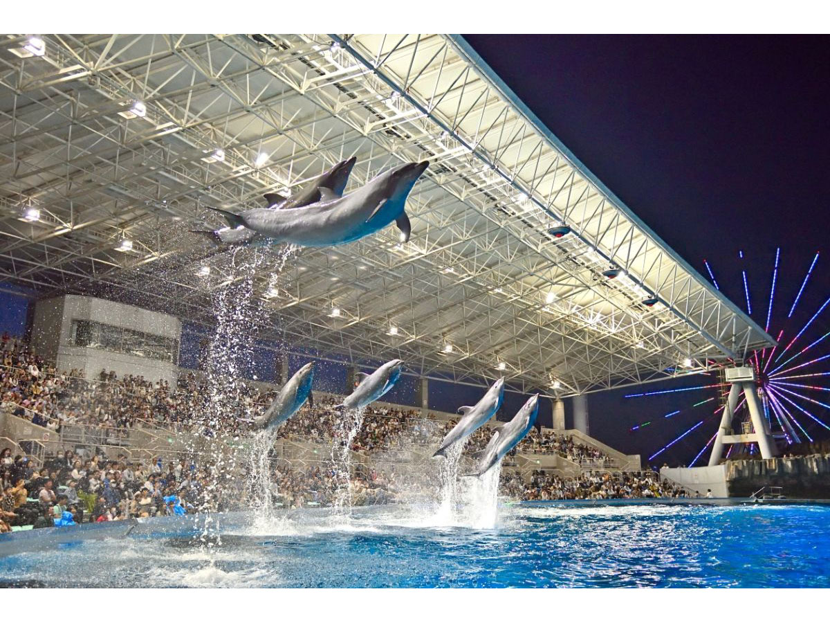 名古屋港水族館　GWナイトアクアリウム