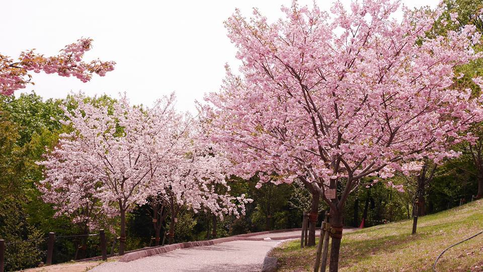 Higashiyama Zoo and Botanical Gardens and Higashiyama Sky Tower