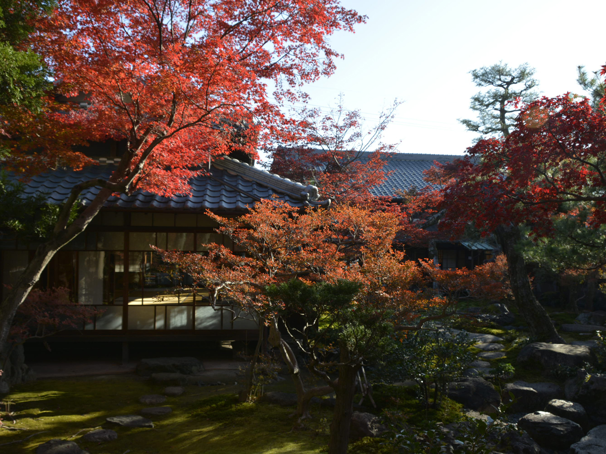 紅葉のおもてなし　もみじまつり
