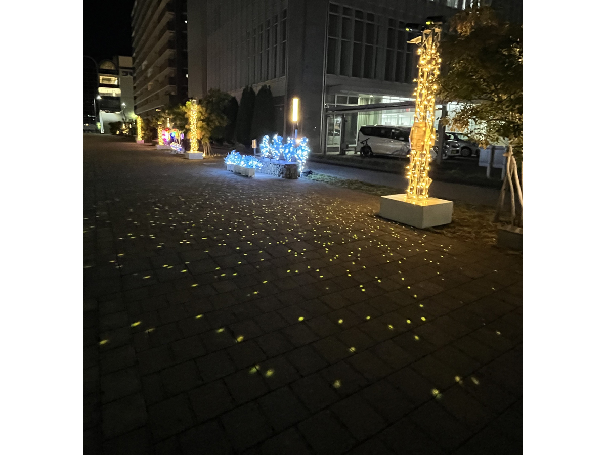 Komaki Station Area Light Display