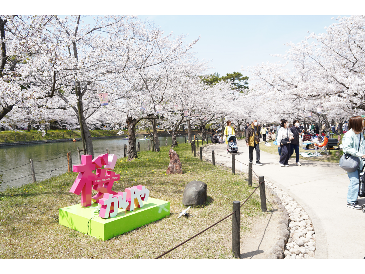 刈谷桜まつり【亀城公園】