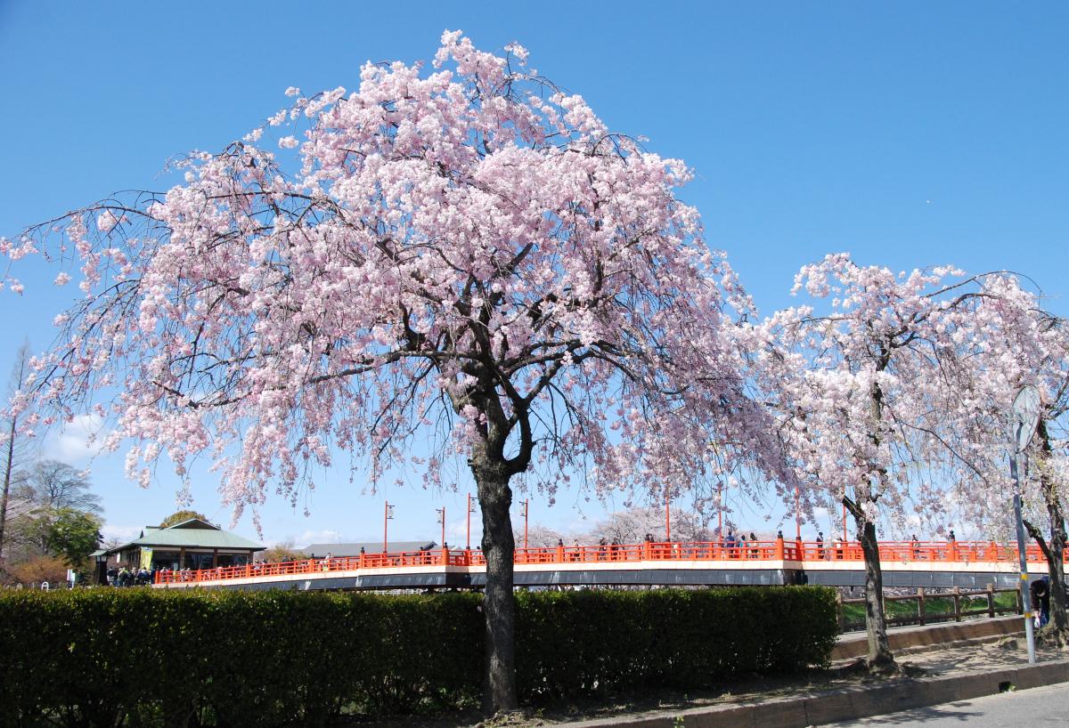 ปราสาทคิโยสึ