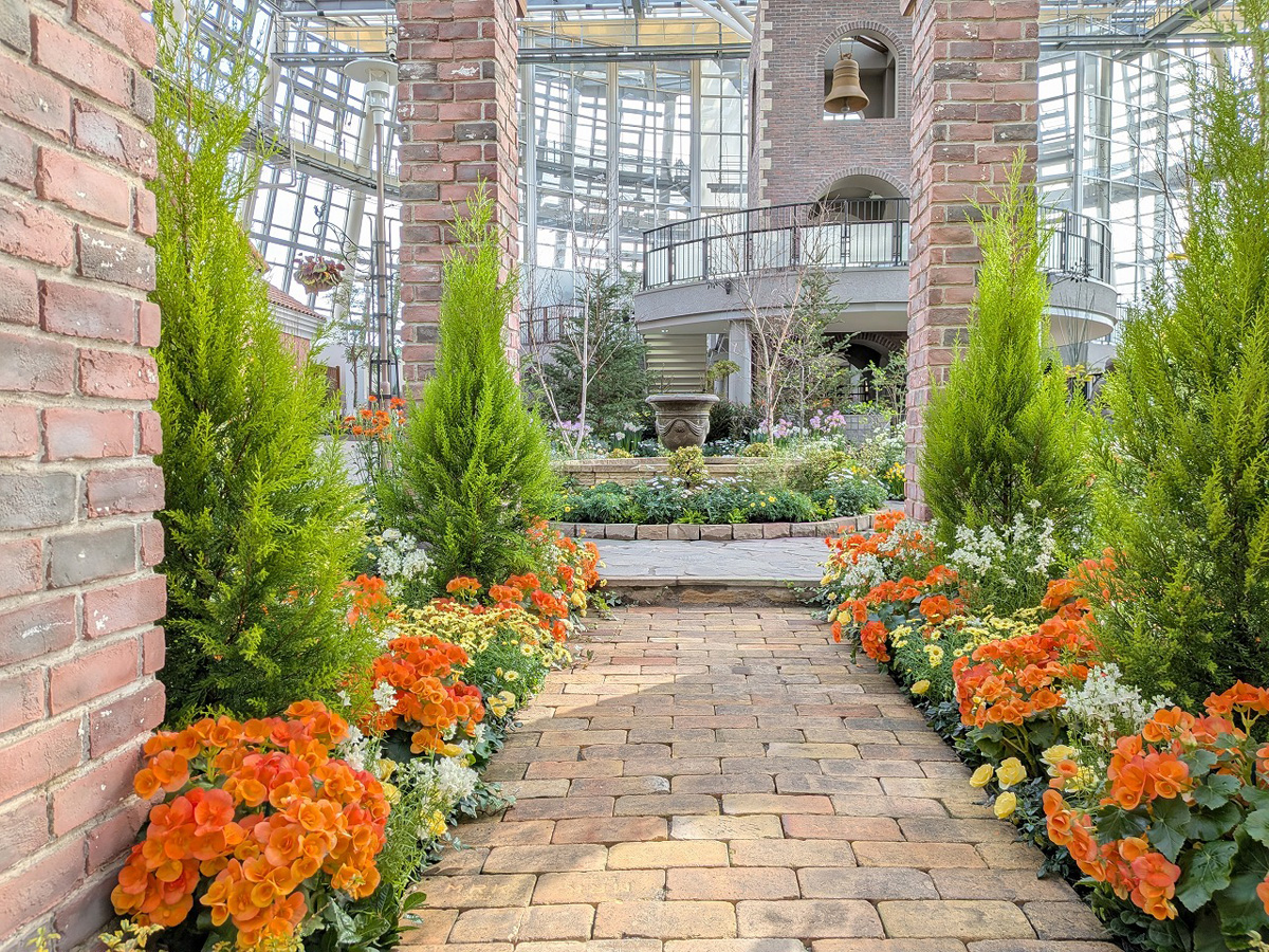 デンパーク　スイートフェスティバル