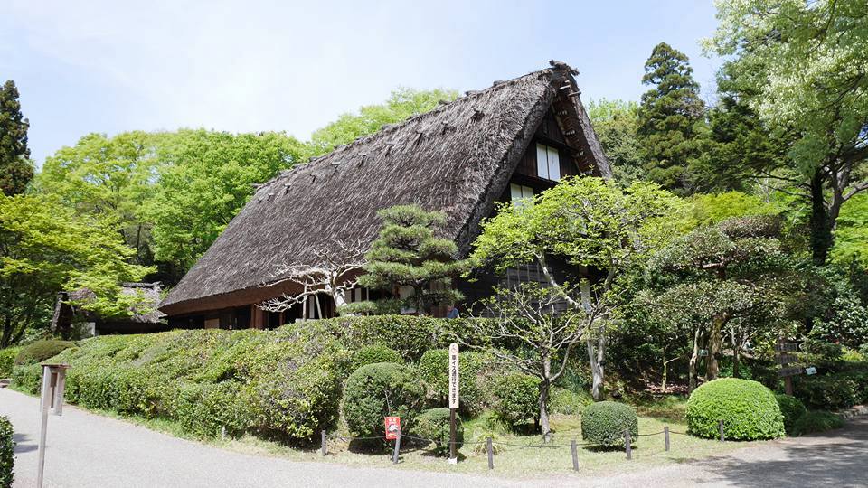 สวนสัตว์และสวนพฤกษศาสตร์ฮิกาชิยามะ