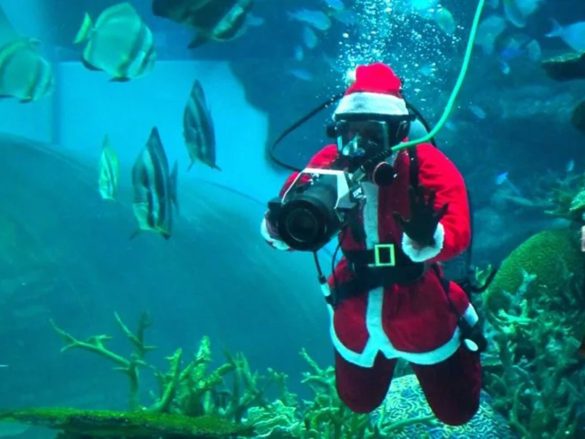 Santa diver