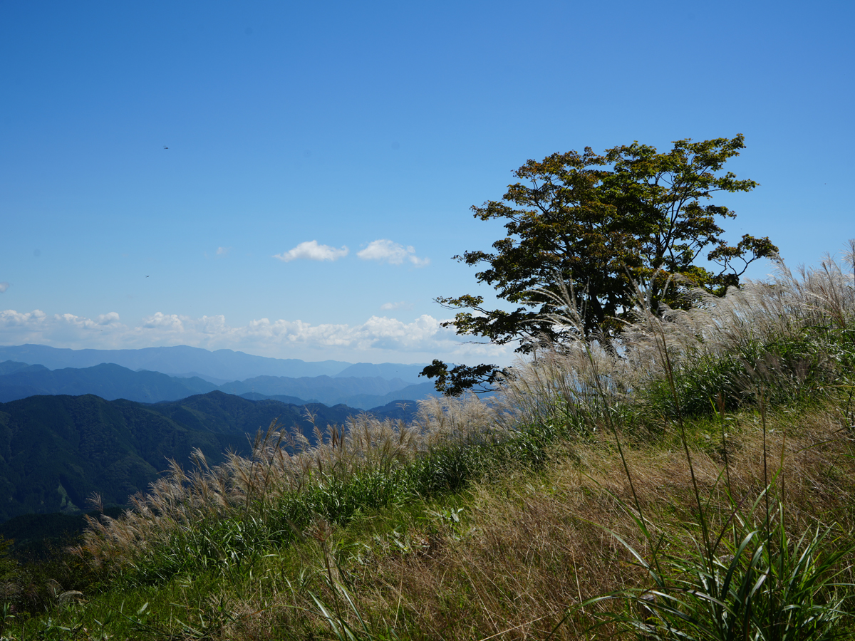 Mt. Chausu Highland Autumn Festival