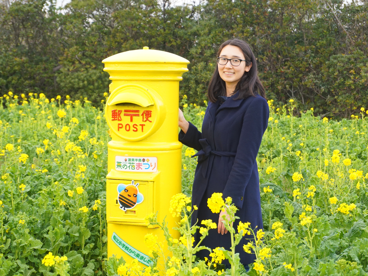 อิราโกะ นาโนะฮานะ การ์เด้น (เทศกาลทุ่งมัสตาร์ด)