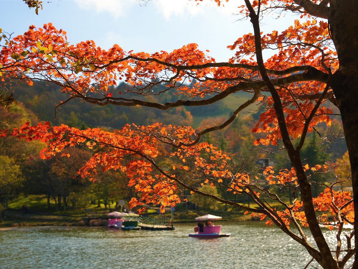 Mt. Chausu Highland Autumn Festival