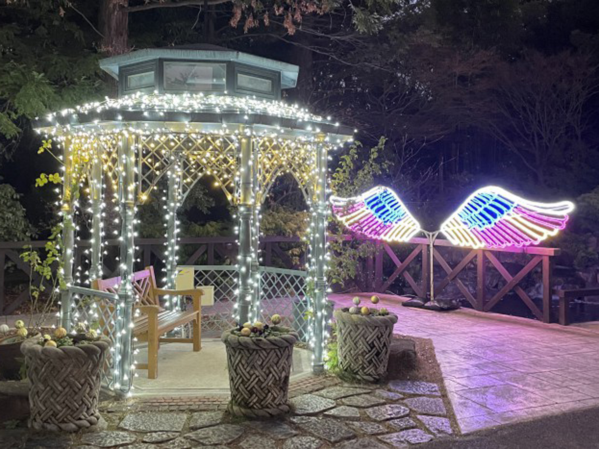 ウィンターイルミネーション