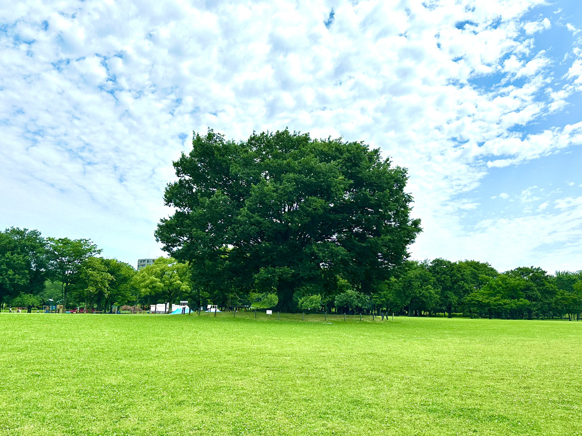 庄内緑地グリーンプラザ