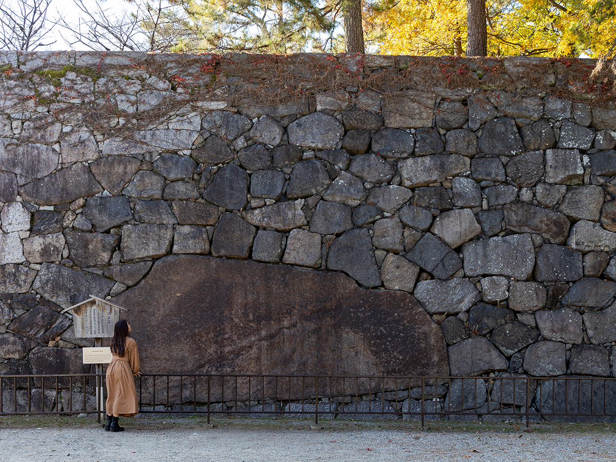 Nagoya Castle and Hommaru Palace