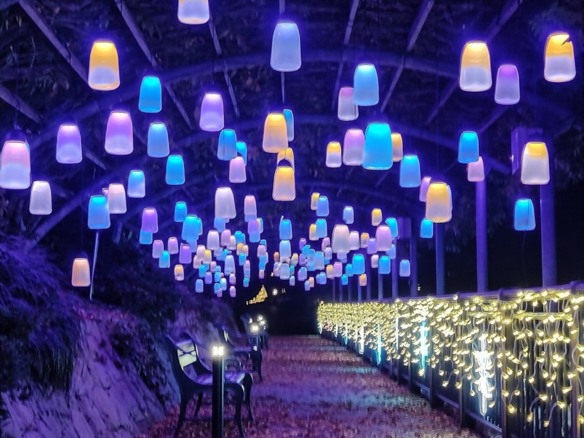 デンパーク ウィンターフェスティバル