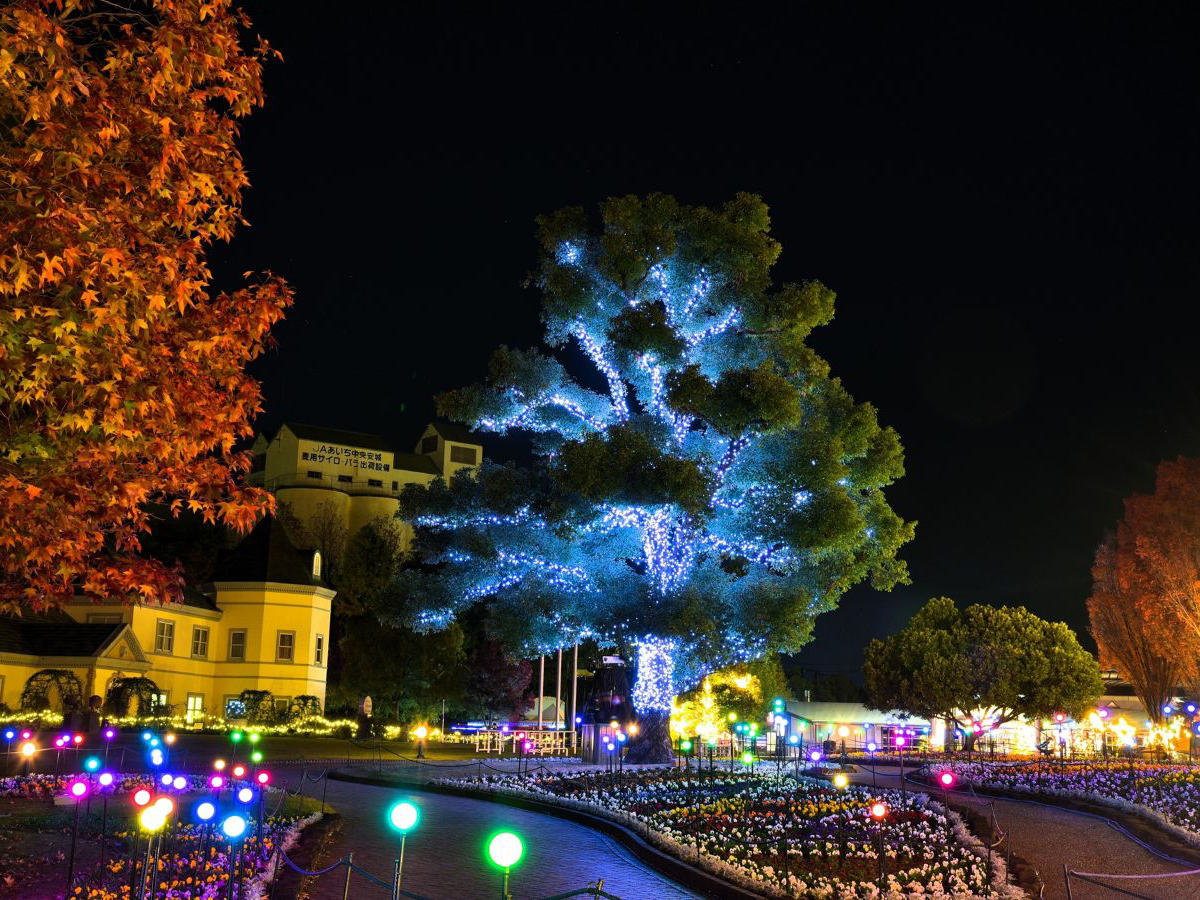 Anjo Industry Culture Park Denpark's Winter Festival