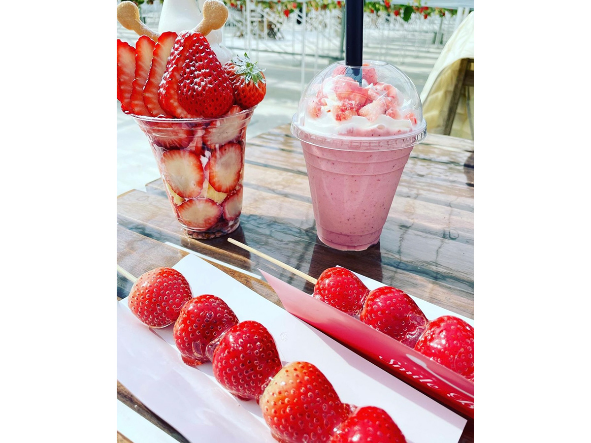 すまいるベリーズ長久手