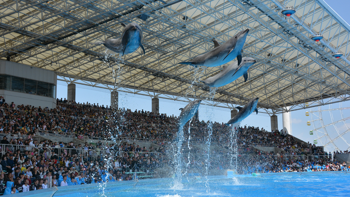 พิพิธภัณฑ์สัตว์น้ำท่าเรือนาโกย่า