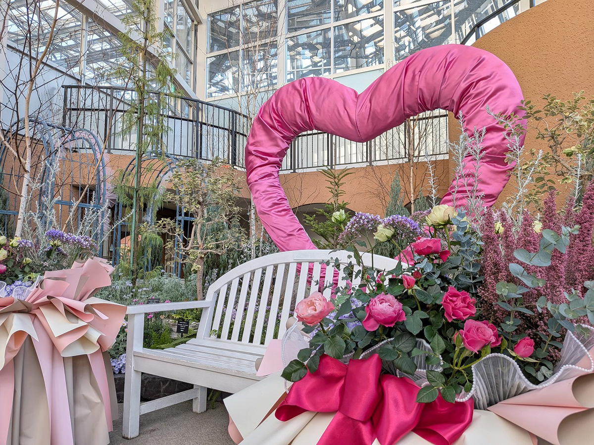 デンパーク　スイートフェスティバル