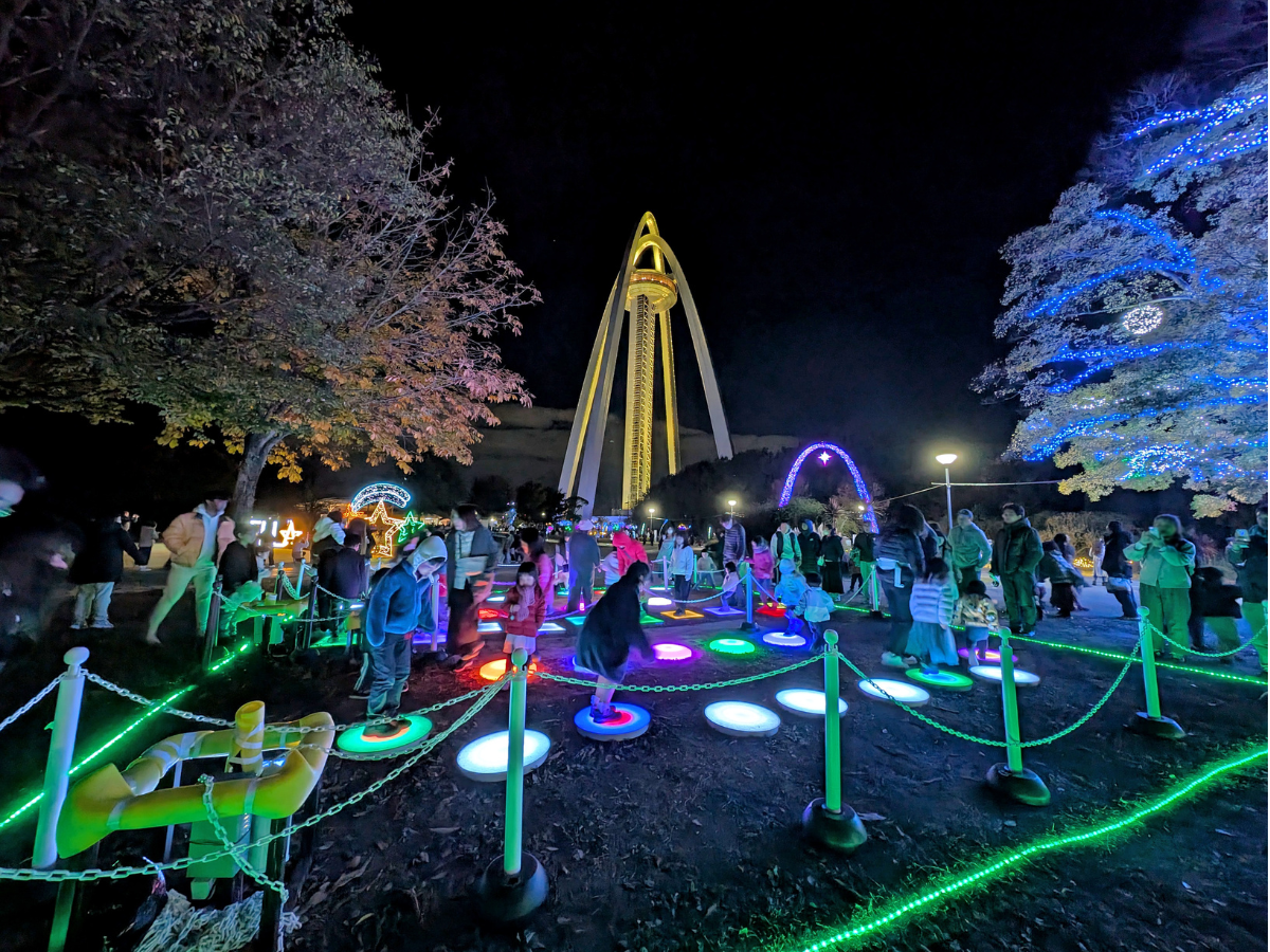 138 Winter Light Display