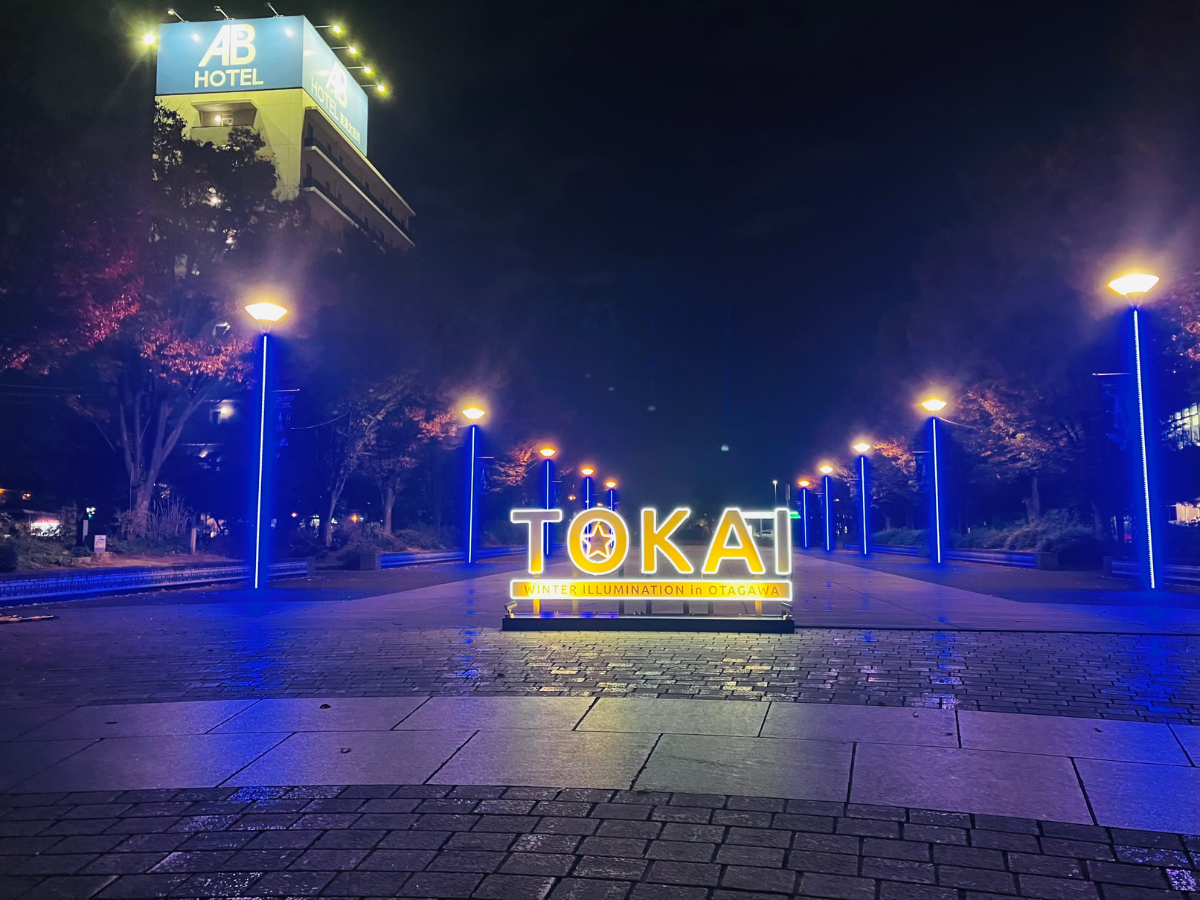 Winter Light Display in Otagawa