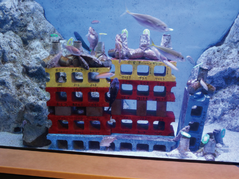 竹島水族館