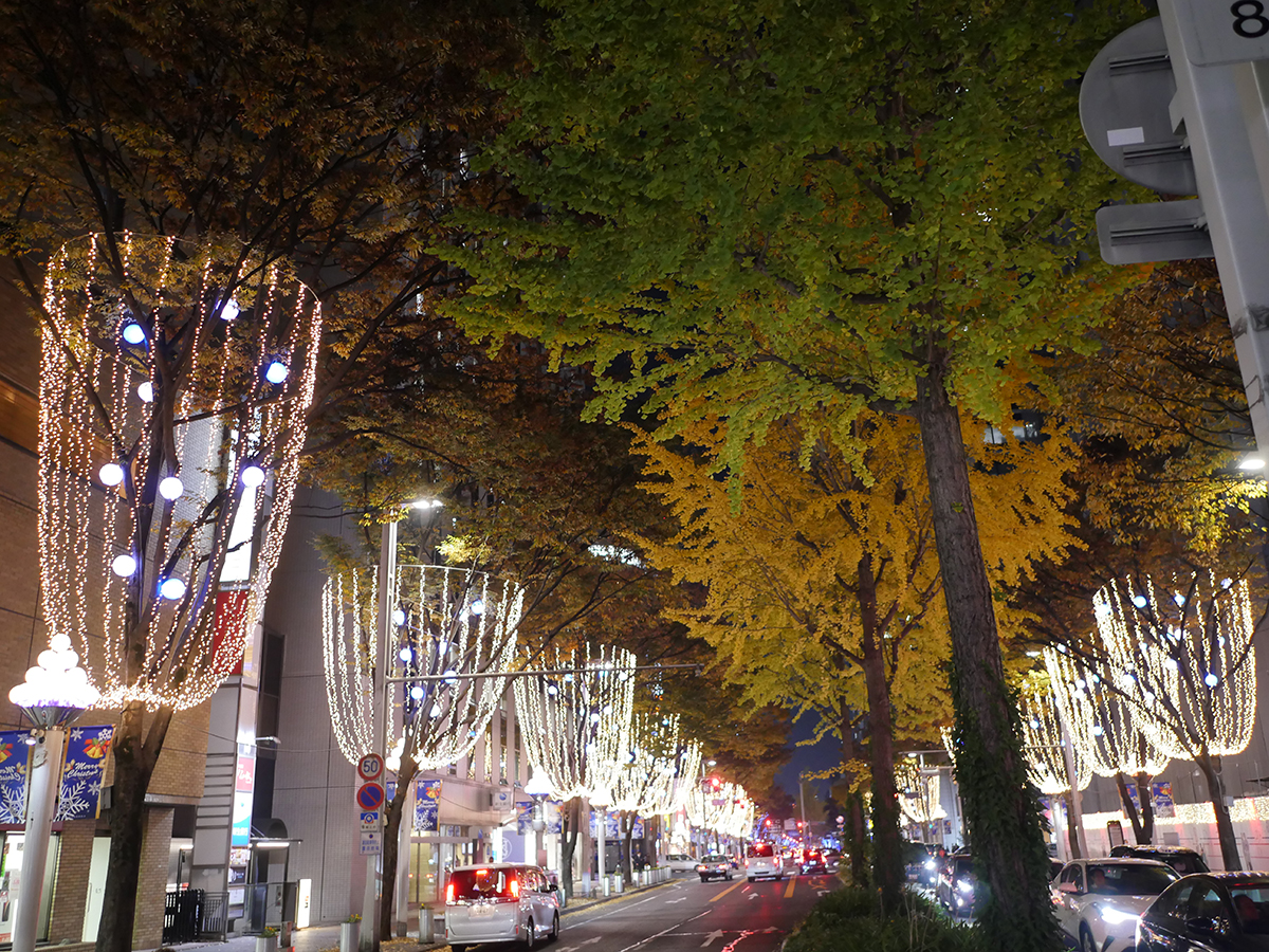 Nagoya Hirokoji Street Express Light Display