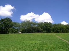 大高緑地