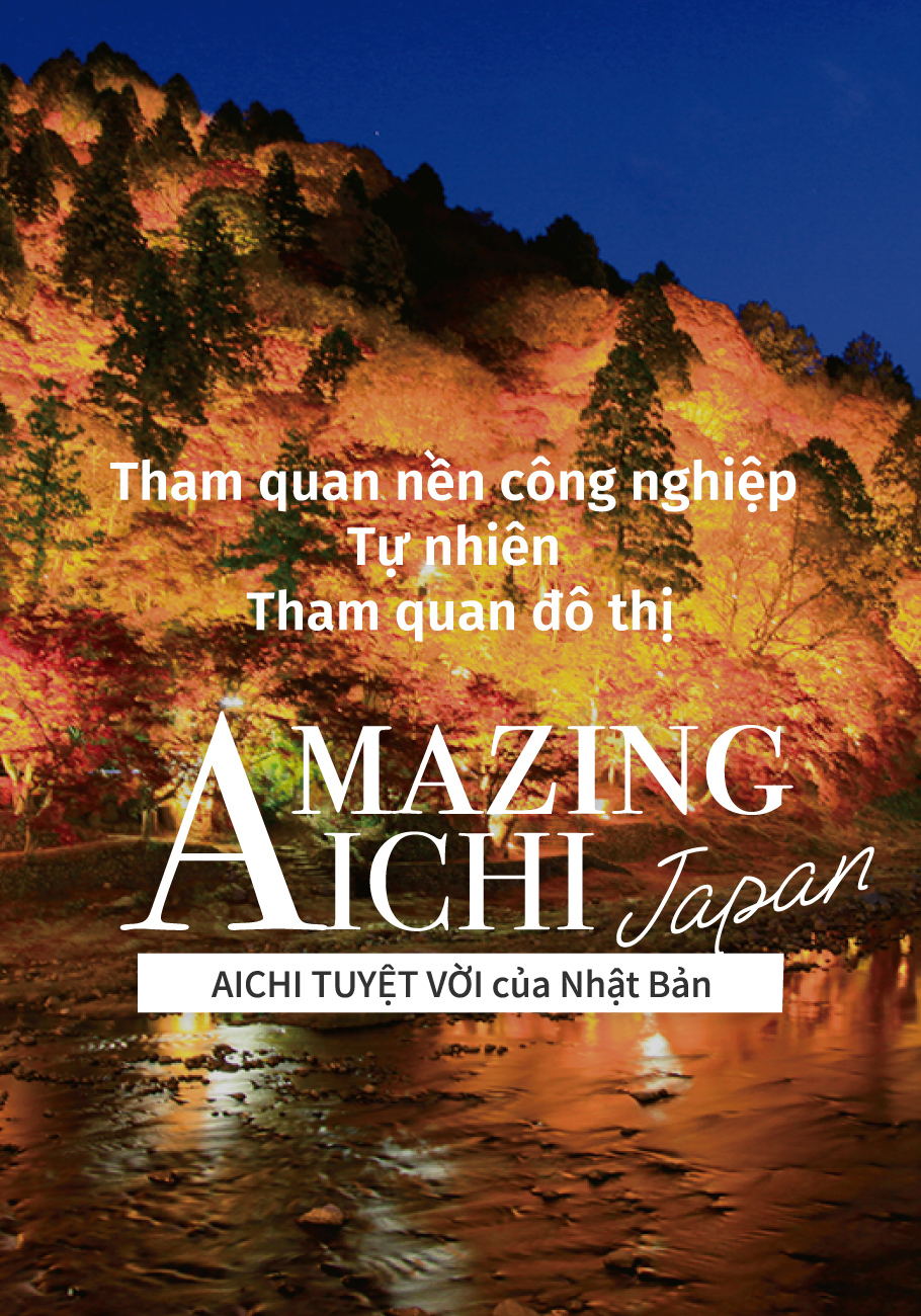 Amazing aichi